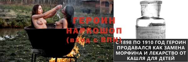трава Корсаков