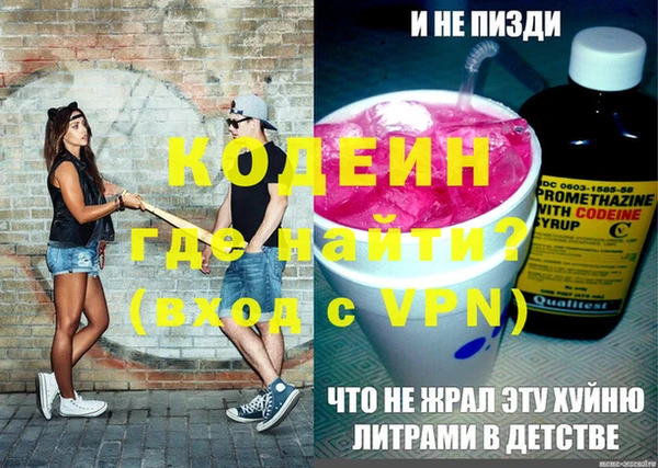 трава Корсаков