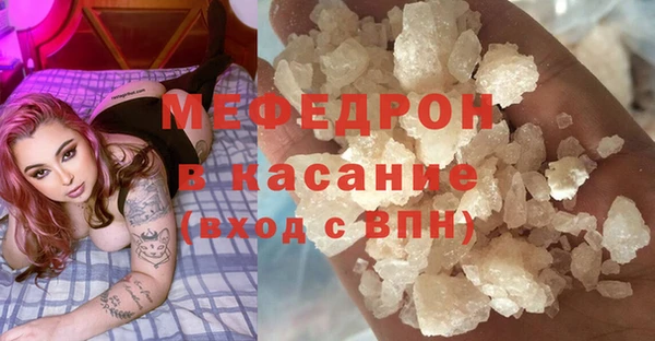 индика Костерёво