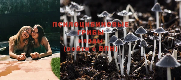 первитин Костерёво