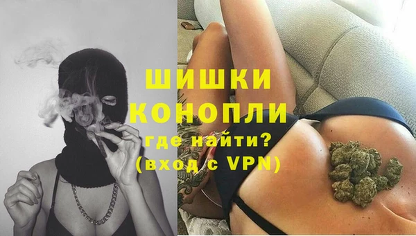 трава Корсаков