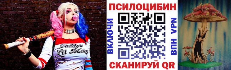 гидра как зайти  Чапаевск  Псилоцибиновые грибы прущие грибы 
