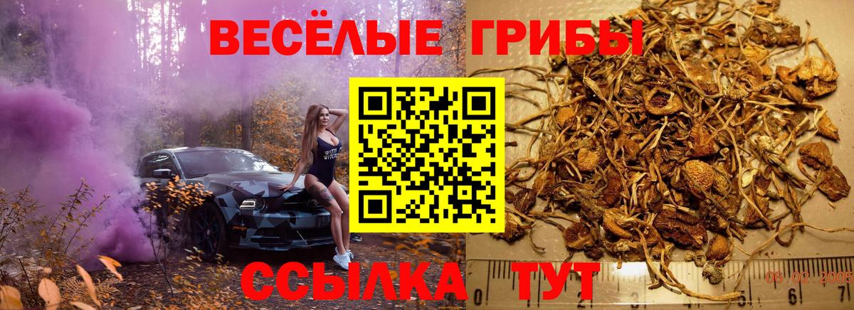 Чапаевск  Галлюциногенные грибы GOLDEN TEACHER  Вход с VPN 