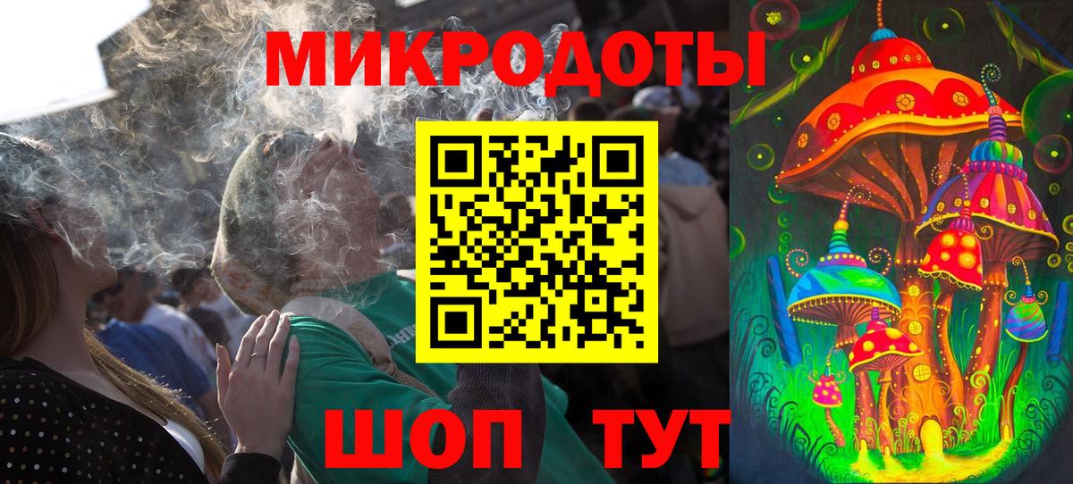 Галлюциногенные грибы Psilocybe Чапаевск